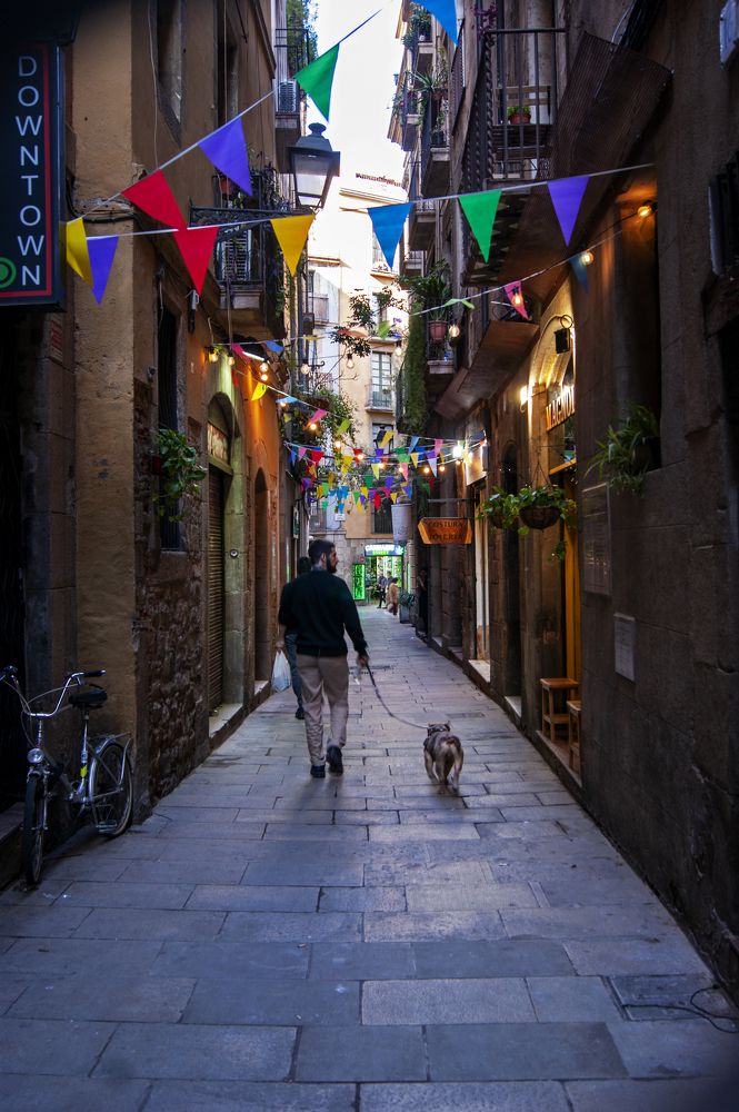 Фотография автора olga Vigar