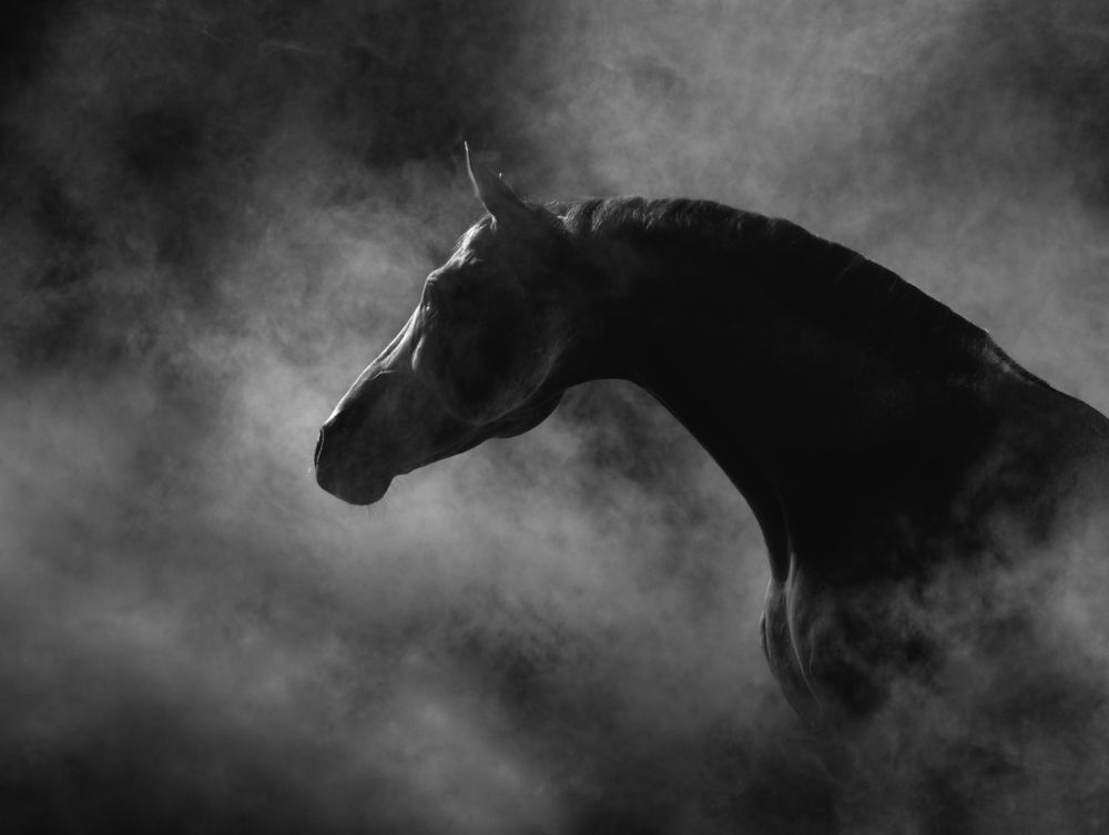 Photograph by Татьяна Немова