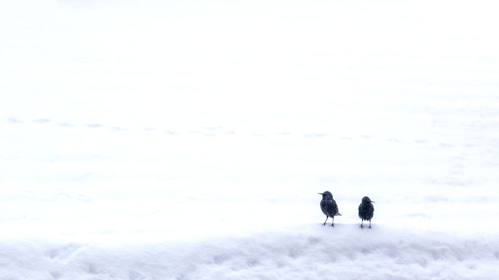 Photograph by Hayrullah M.