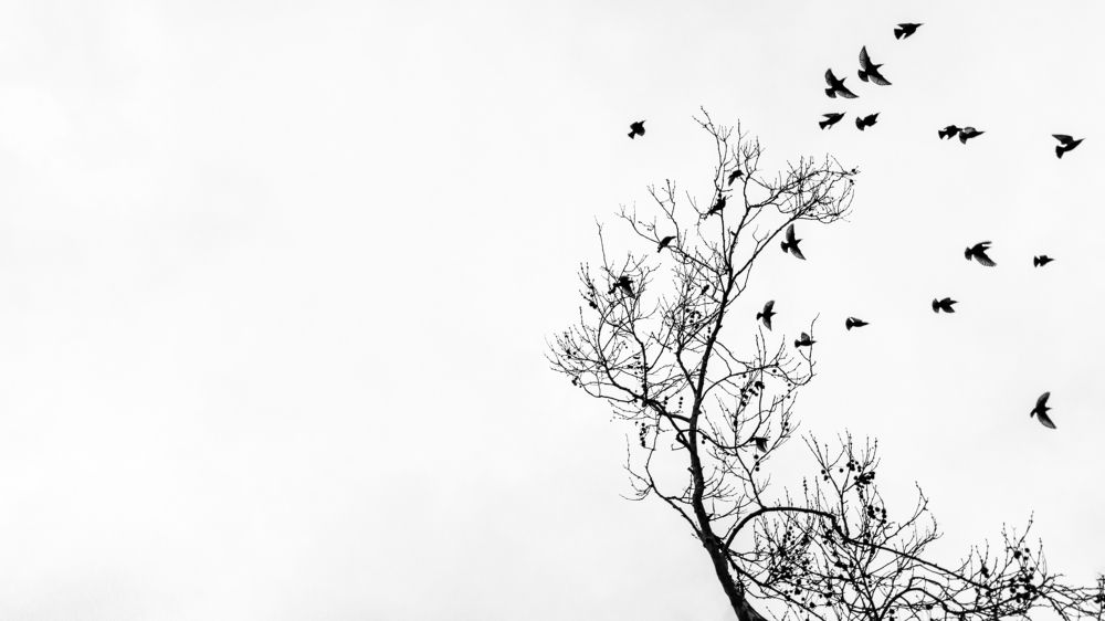 Фотография автора Hayrullah M.