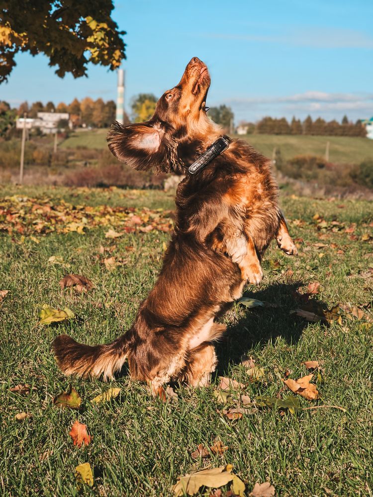 Фотография автора Ольга Шишук