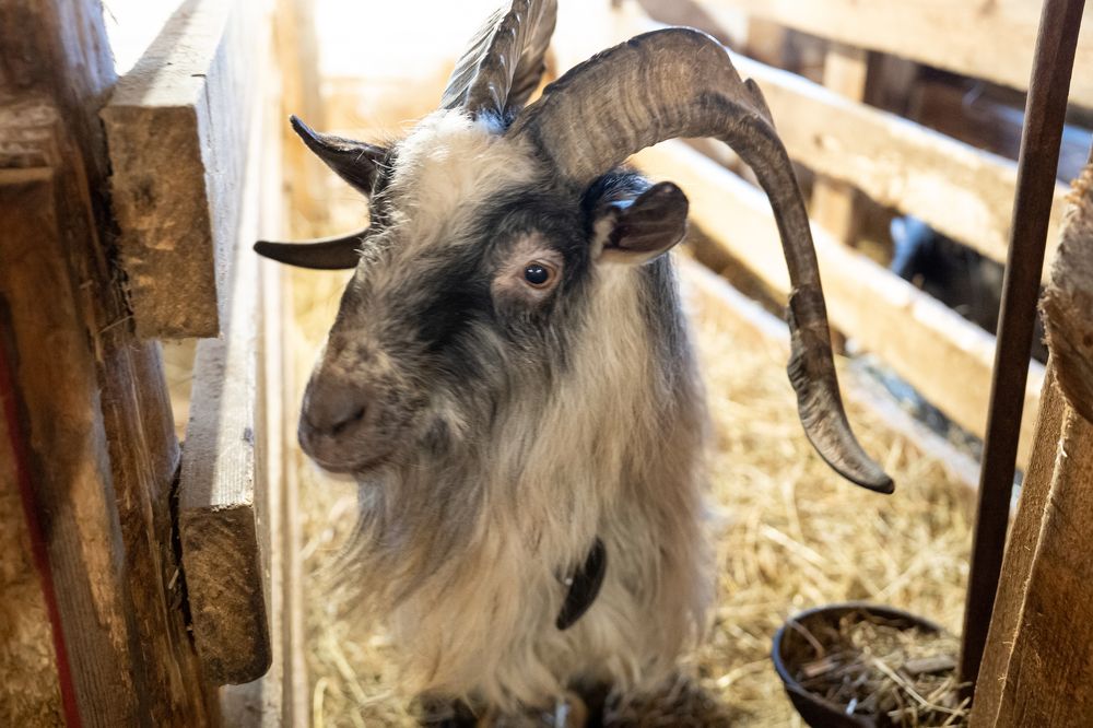 Самый красивый