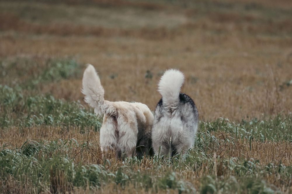 Photograph by Мария Ирешева