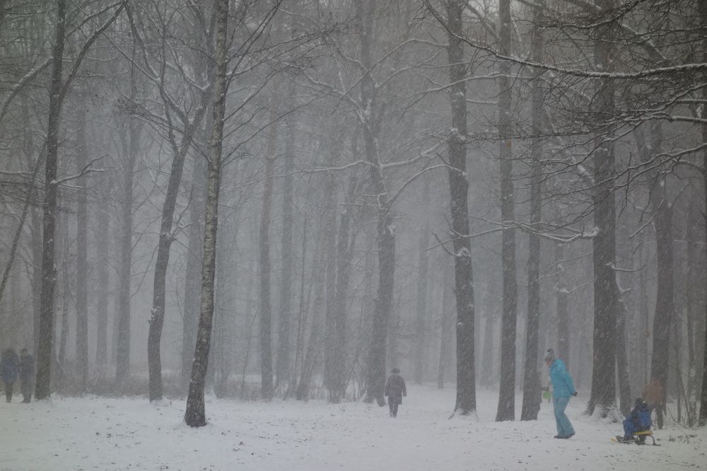 Photograph by Дарья Гришина