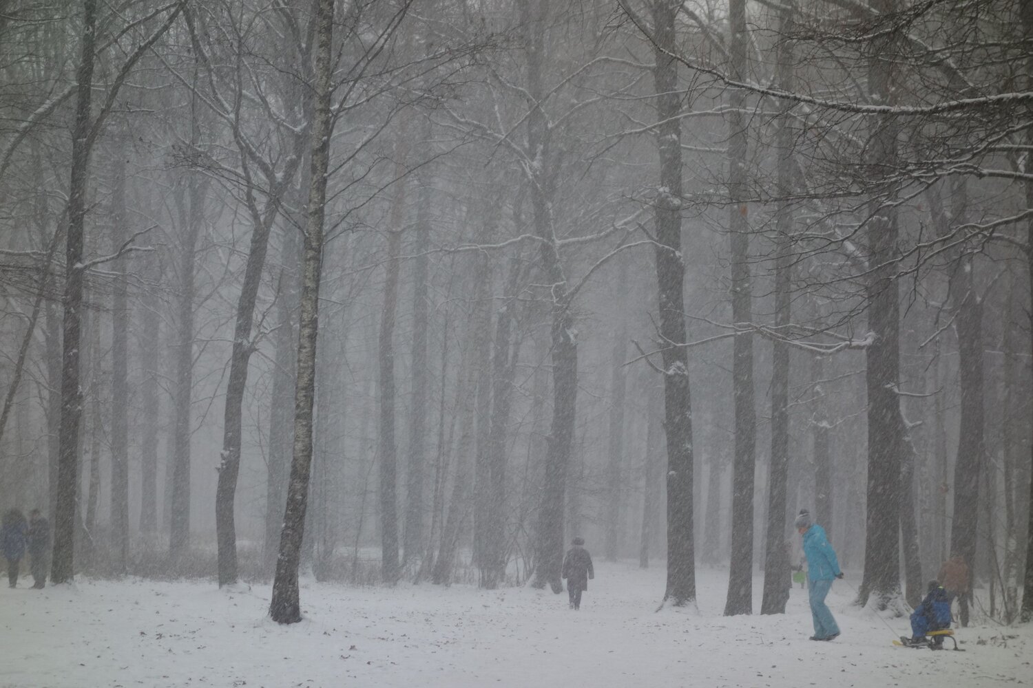 Photo #11761212