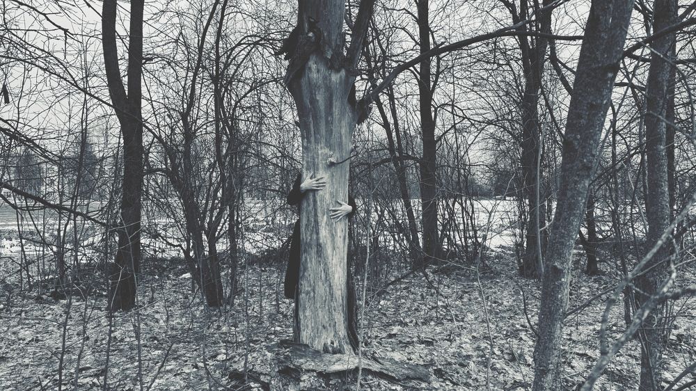 Photograph by Светлана Родионова