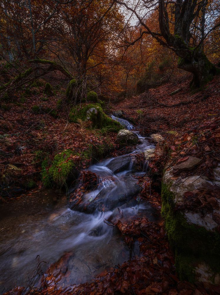 Photograph by Cristina Barguregoitia Pérez