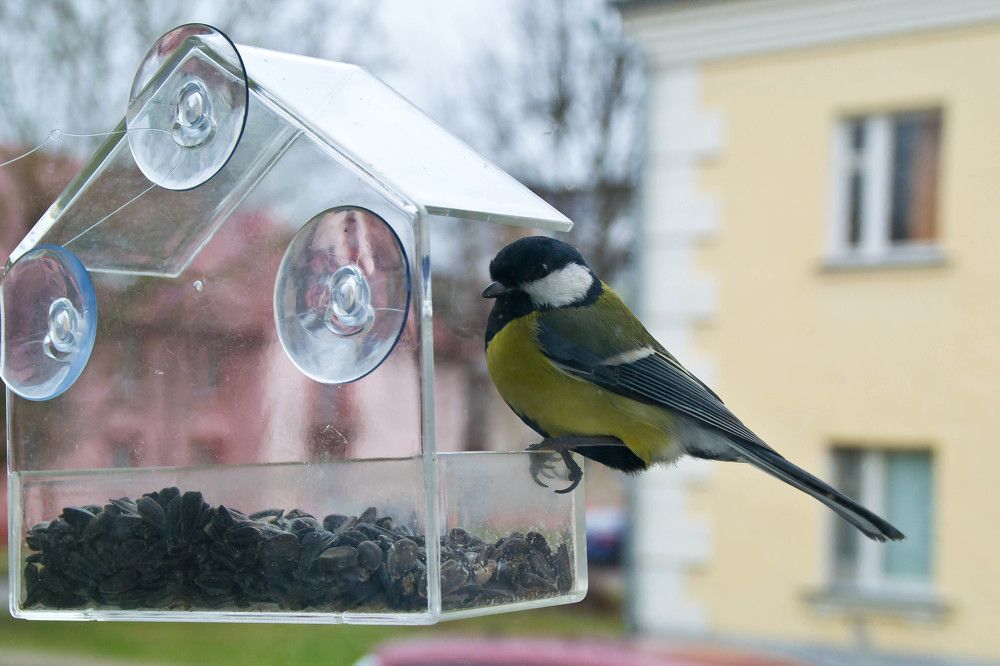 Фотография автора Юлия Кранина