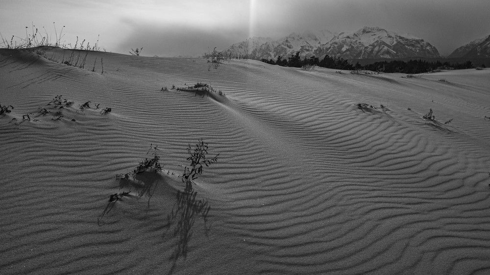 Фотография автора Александр Довганюк
