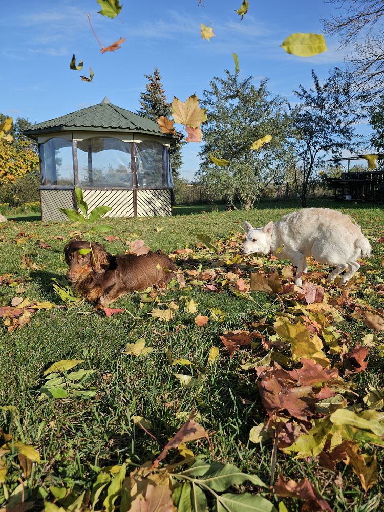 Фотография автора Ольга Шишук