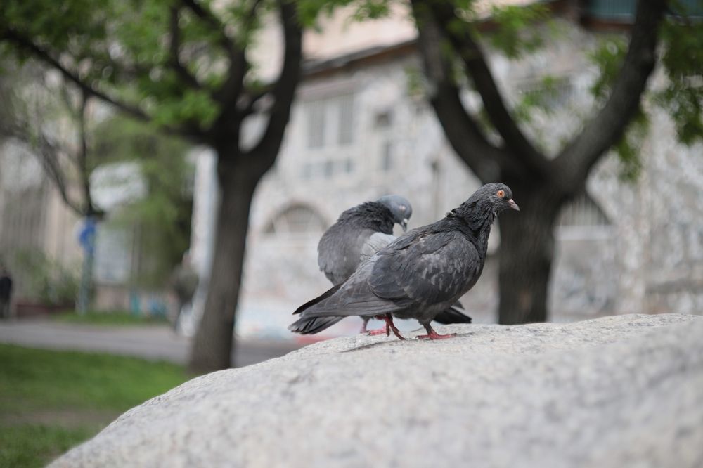 Photograph by Галина Чернова