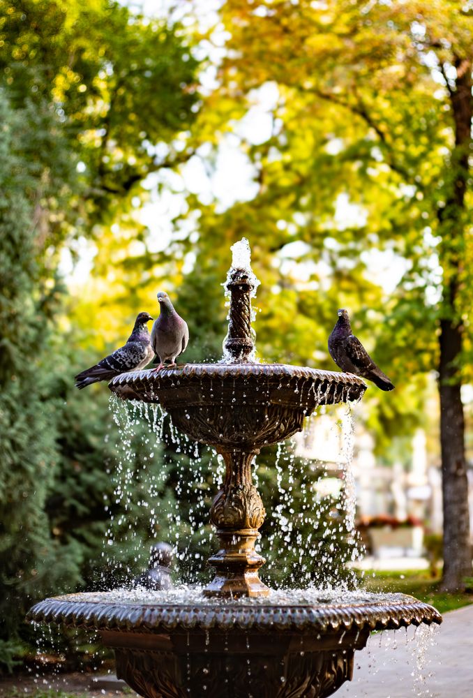 Photograph by Галина Чернова