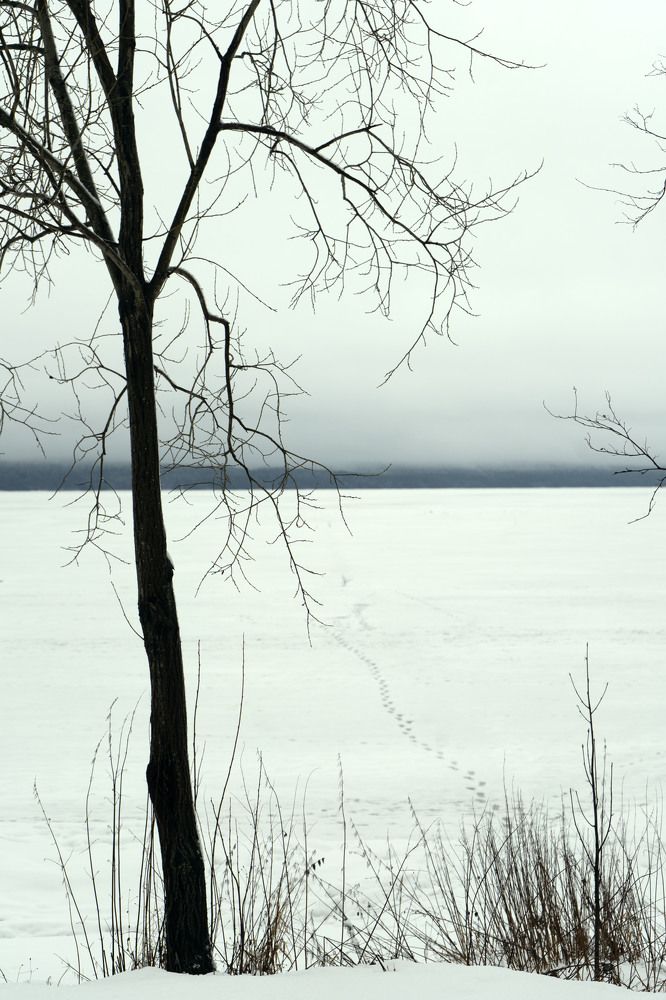 Photograph by Яна Сенникова