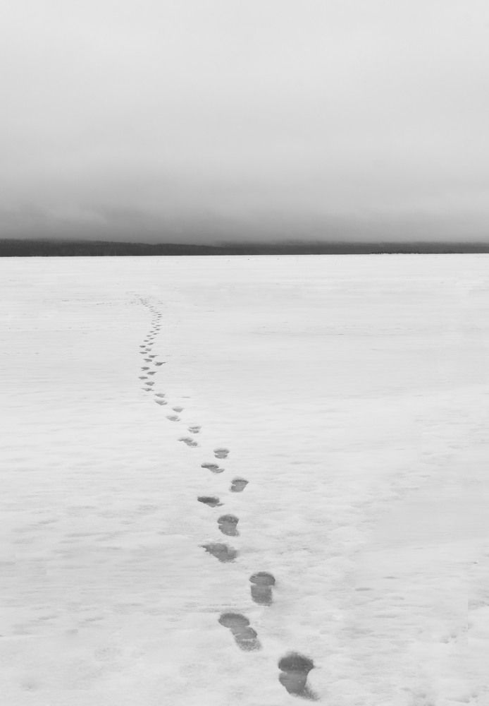 Photograph by Яна Сенникова