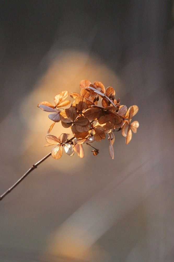 Photograph by Александра