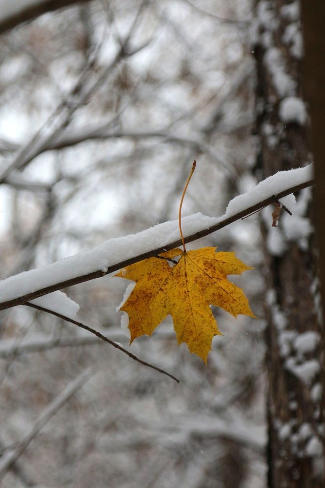 Photograph by Александра