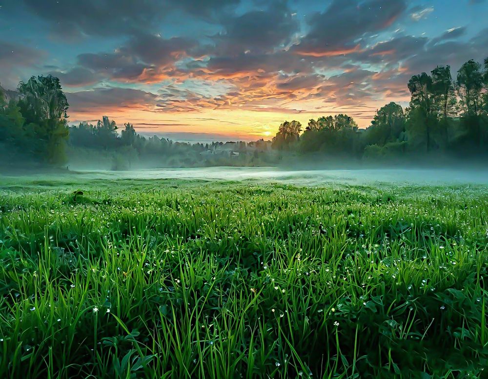 Photograph by Дмитрий Потапов