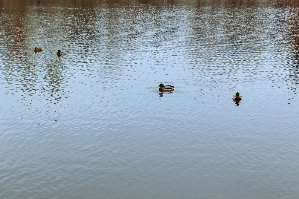 Photograph by Толмачёва Ирина