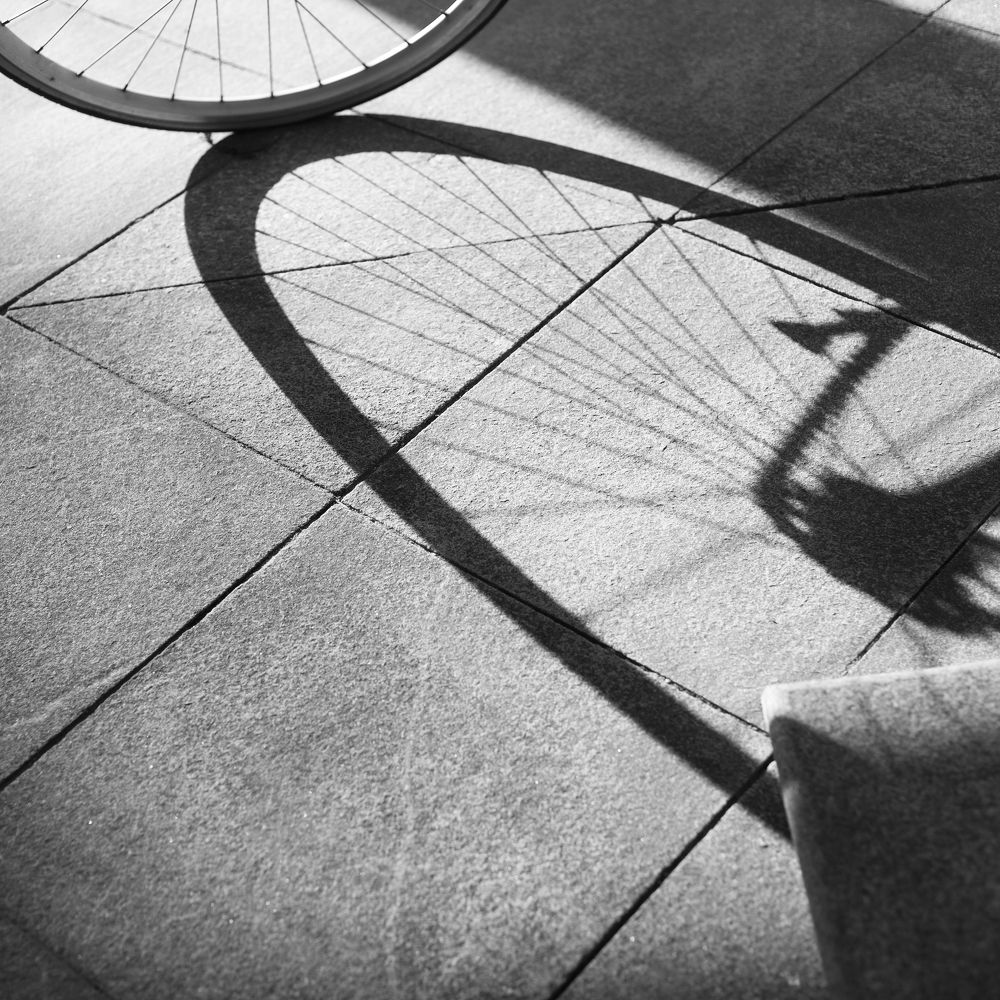 Фотография автора Елена Курьянова