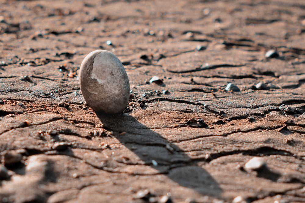 Photograph by Nephotograph