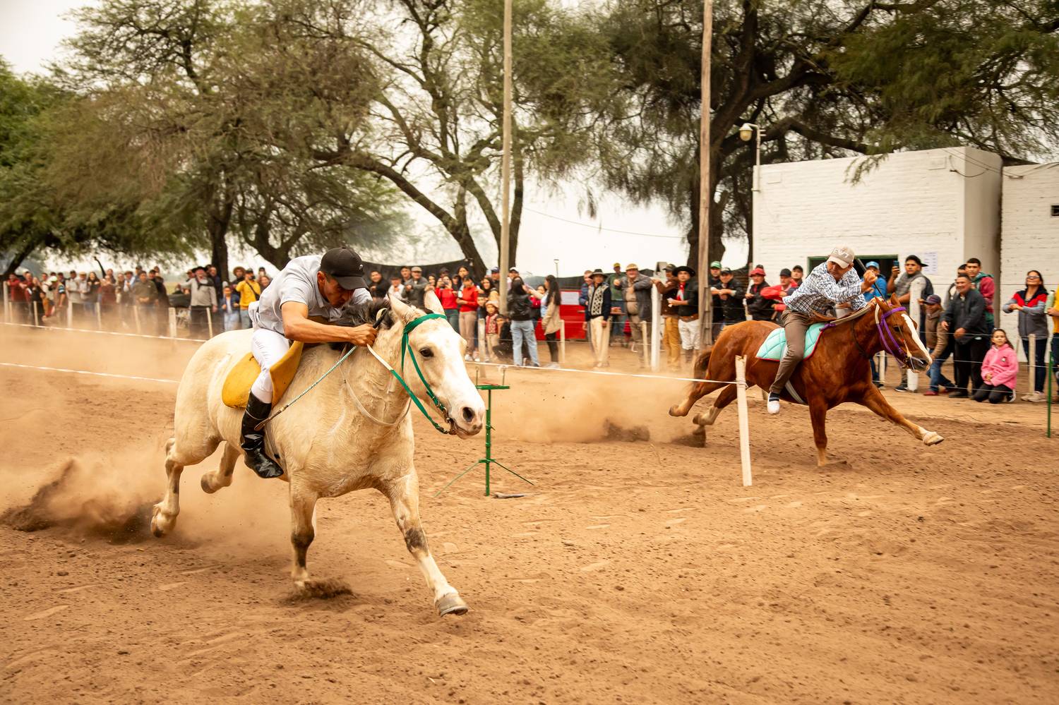 Фотография #11761494