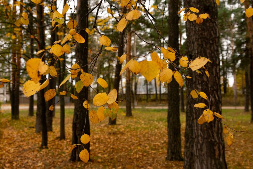 Photograph by Михаил Костыря