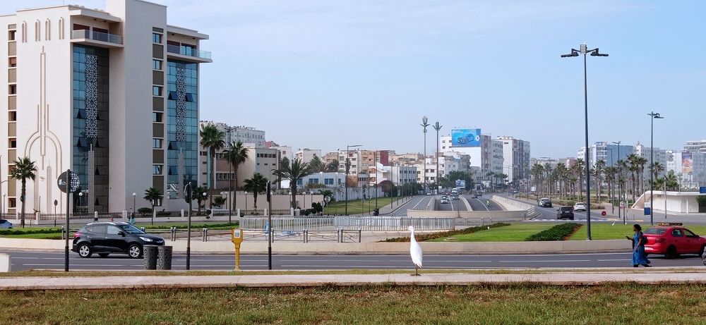 Photograph by Лариса Неудачина