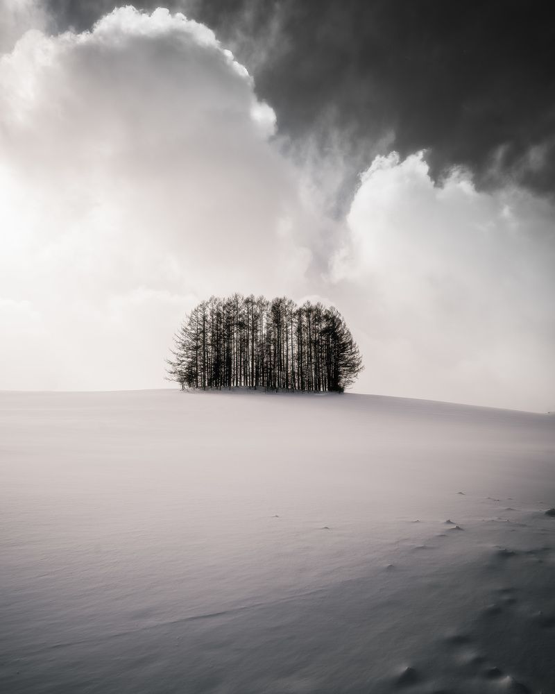 Photograph by Sebastian Tan