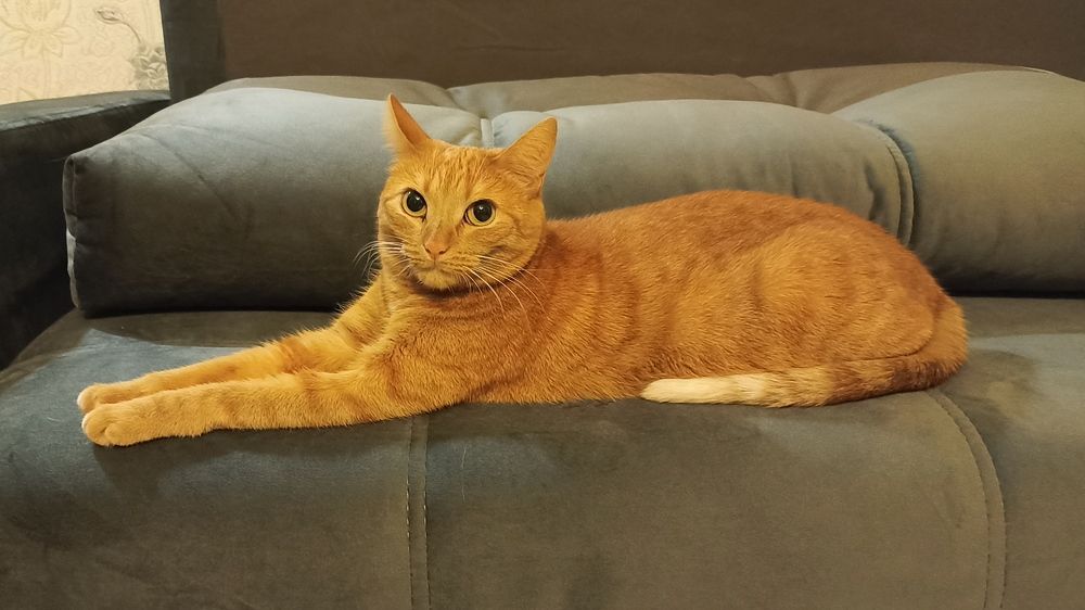 Photograph by Анна Виноградова