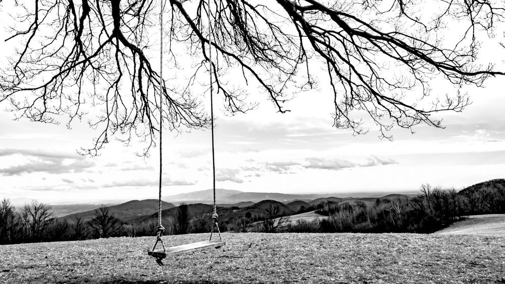 Photograph by Anton  ( Toni ) Vucajnk