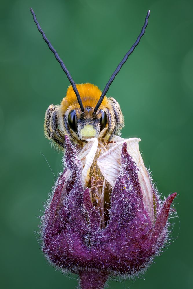 Photograph by Кузнецов Дмитрий