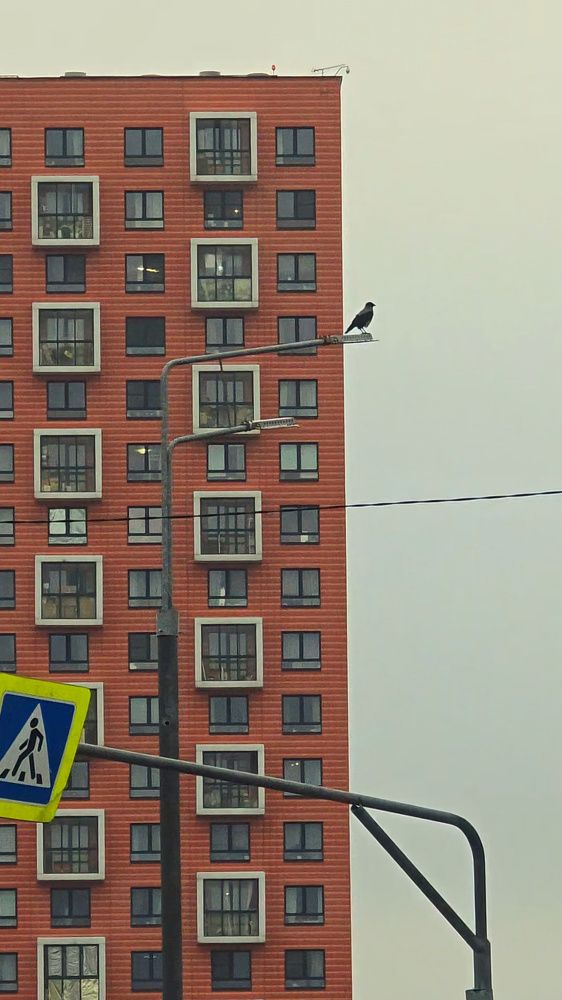 Photograph by Оксана Бессчетнова