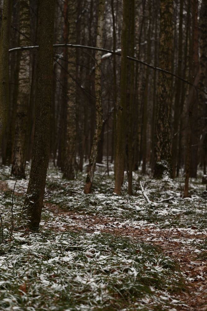 Photograph by Elvira Ner