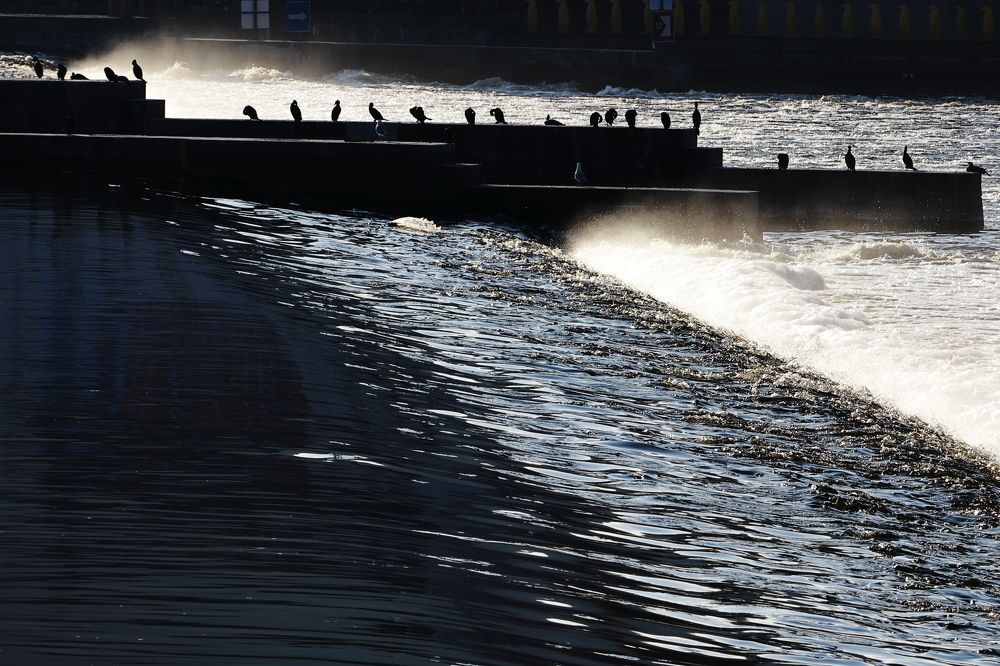 Photograph by Ernest Spiteri Gonzi