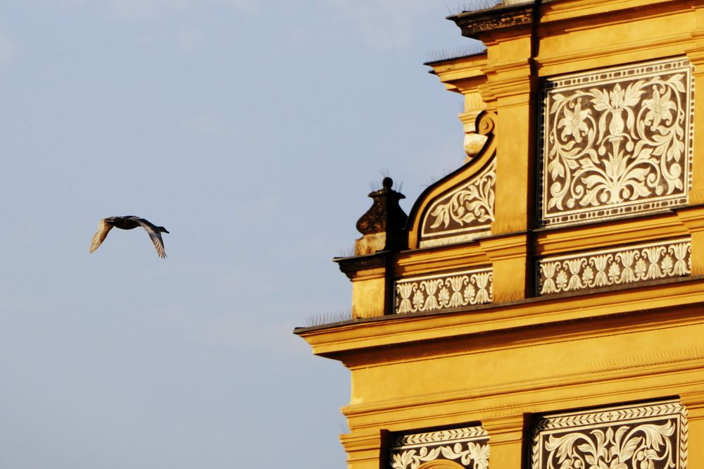 Photograph by Ernest Spiteri Gonzi