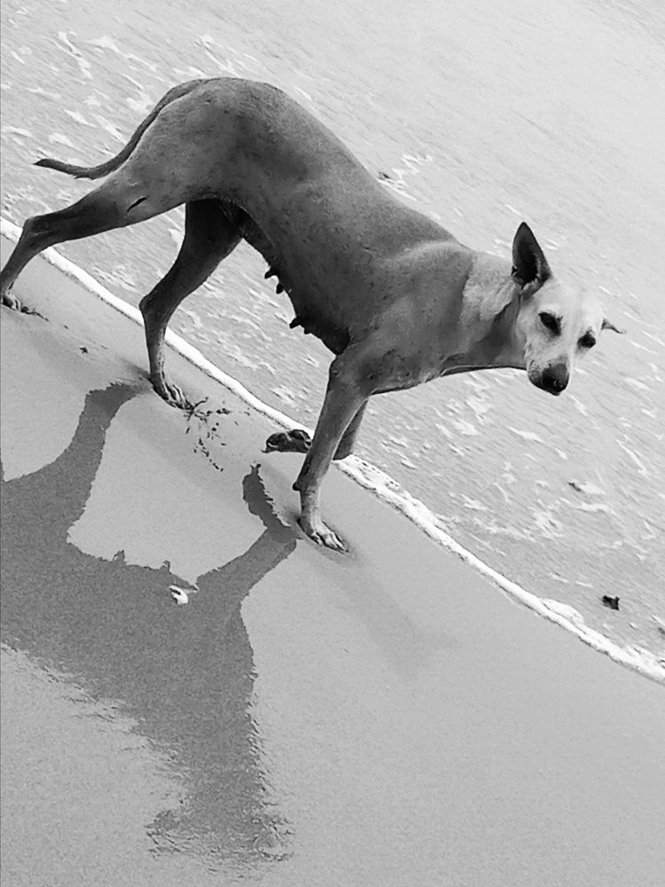 Фотография автора Captured Chronicles