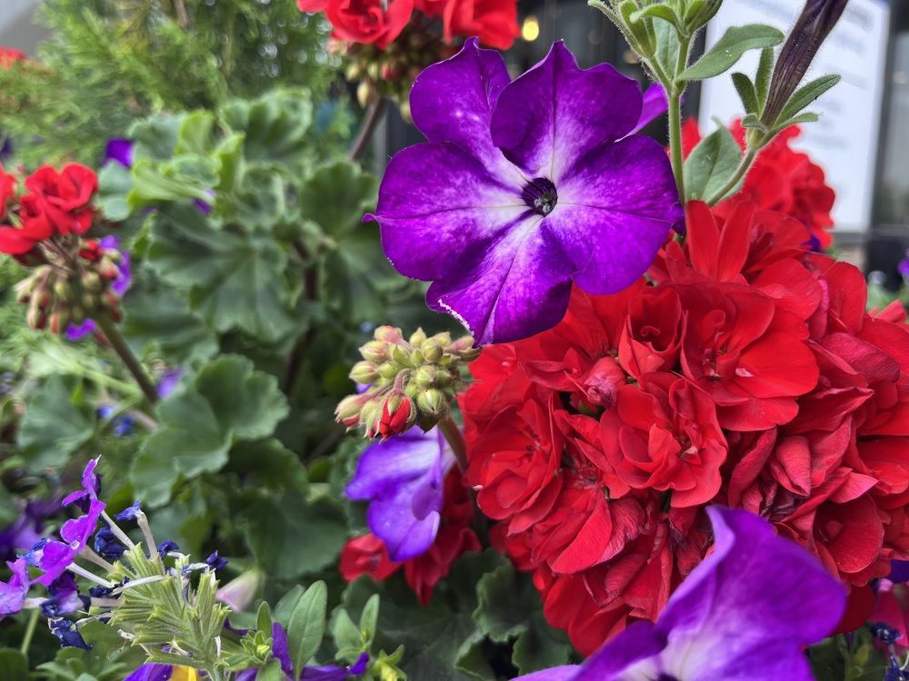 Photograph by Eunice Oladeji