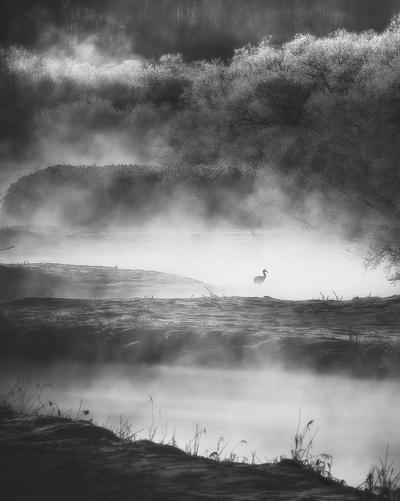 Photograph by Sebastian Tan