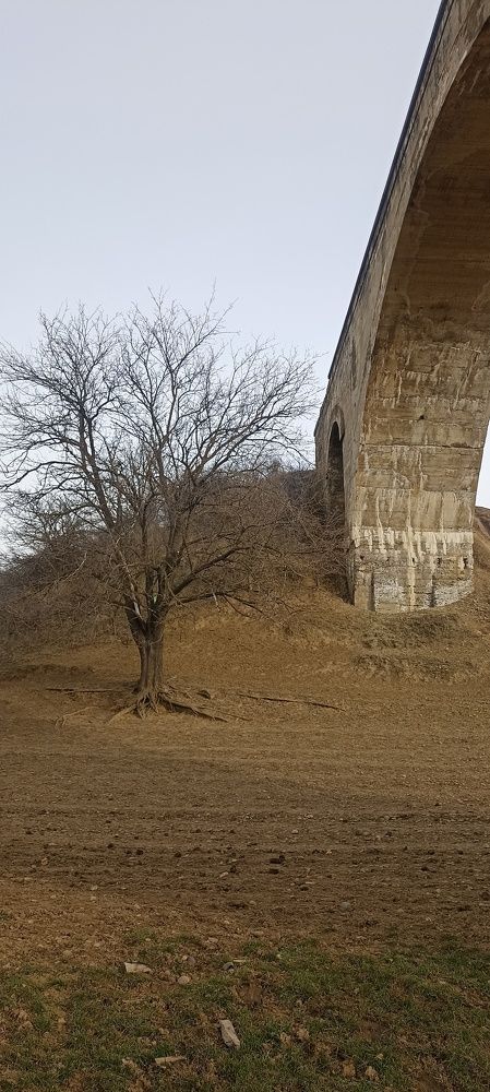 Photograph by Иван Левин