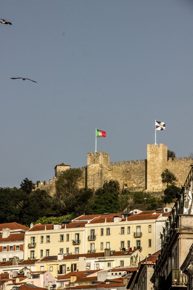 Photograph by Ernest Spiteri Gonzi