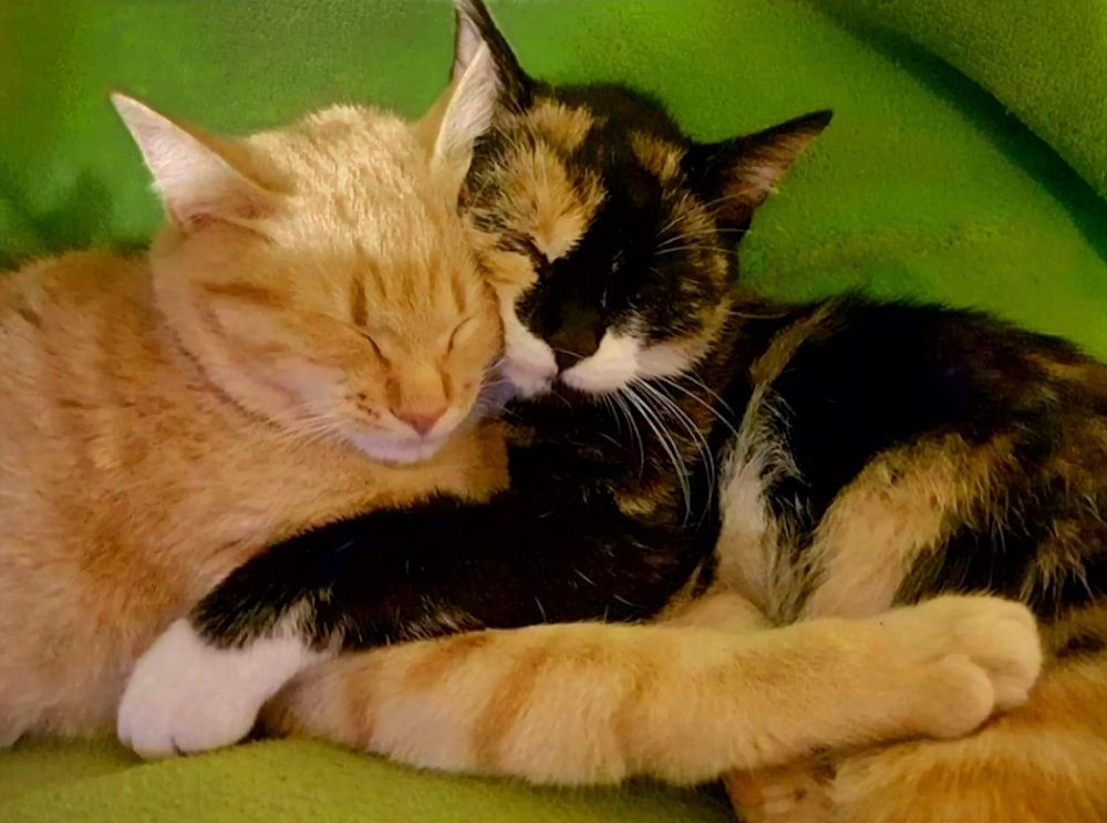 Photograph by Catherine Walter-Prêtre