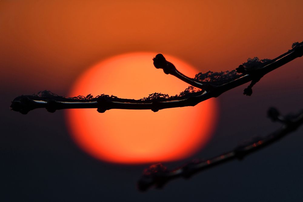 Фотография автора Nephotograph