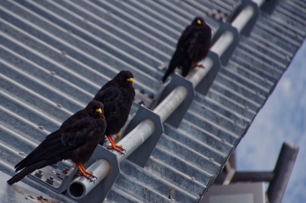 Photograph by Михаил Жарский