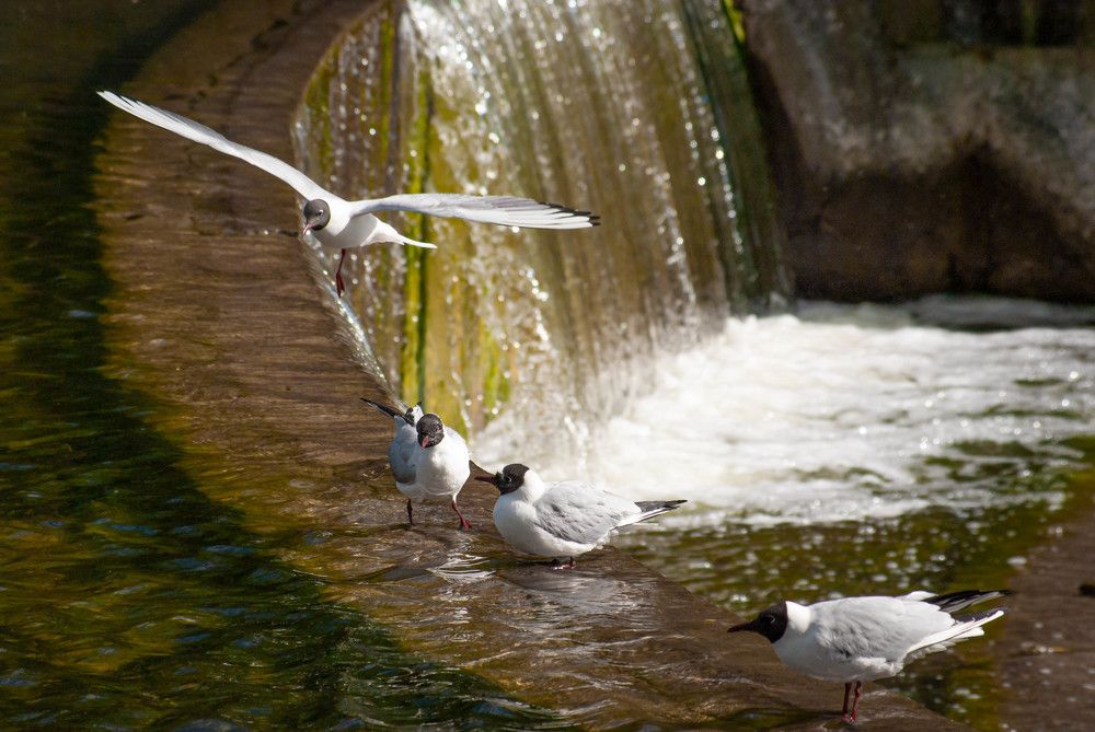 Photograph by Диана Бородзе