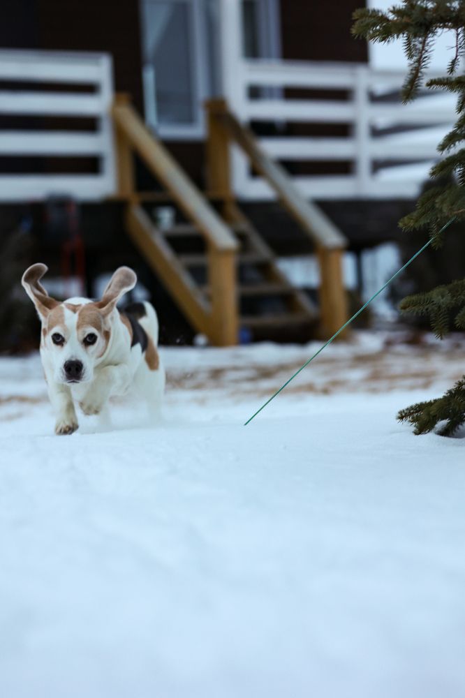 Photograph by Наталья Egoza