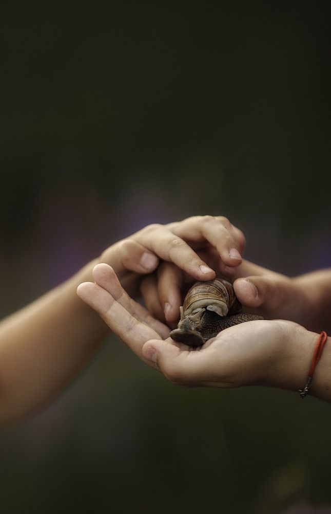 Photograph by Мария Рудак