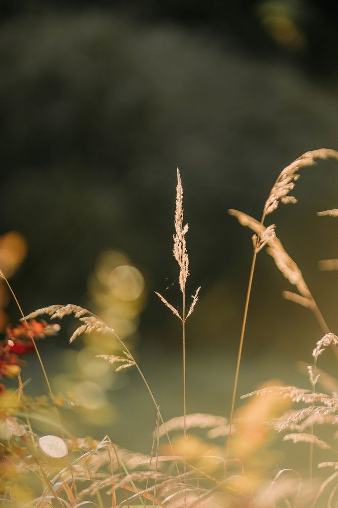 Photograph by Мария Рудак