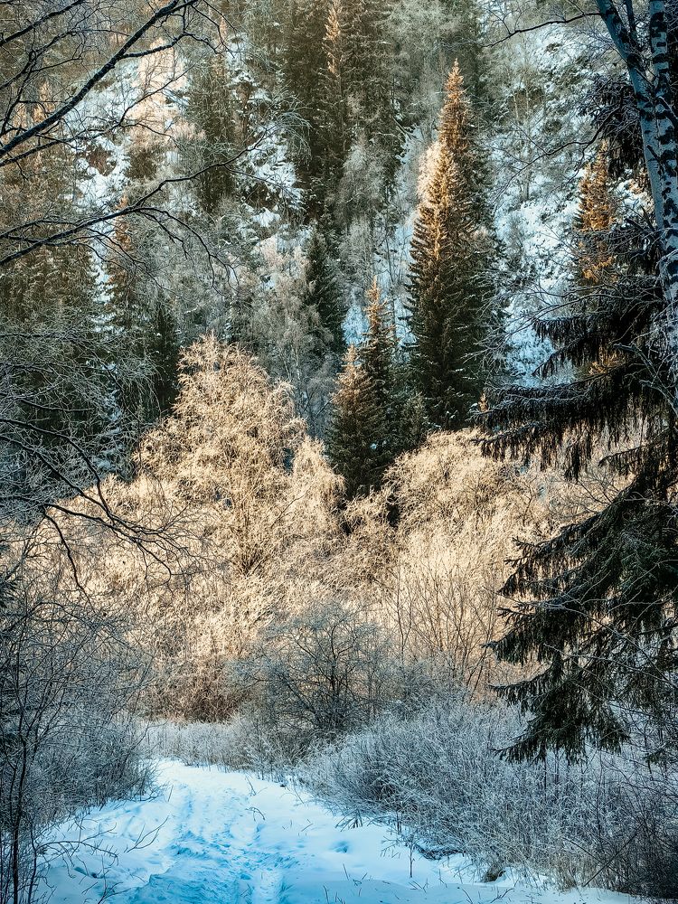 Photograph by Корчагина Оксана