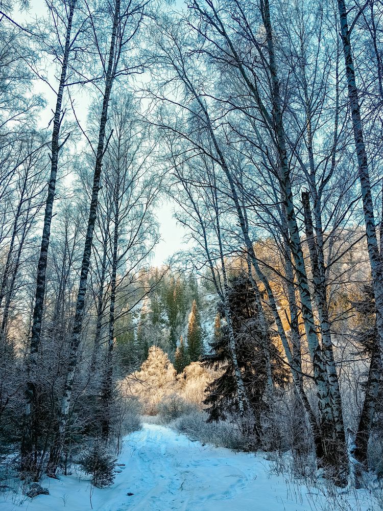 Photograph by Корчагина Оксана