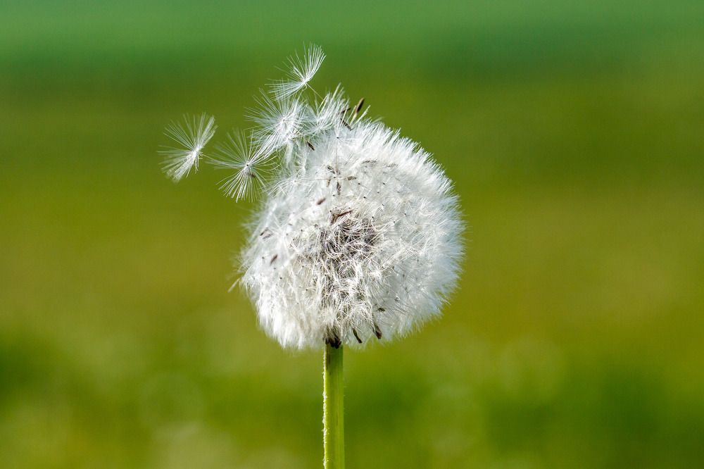 Photograph by Ivars Salmanis